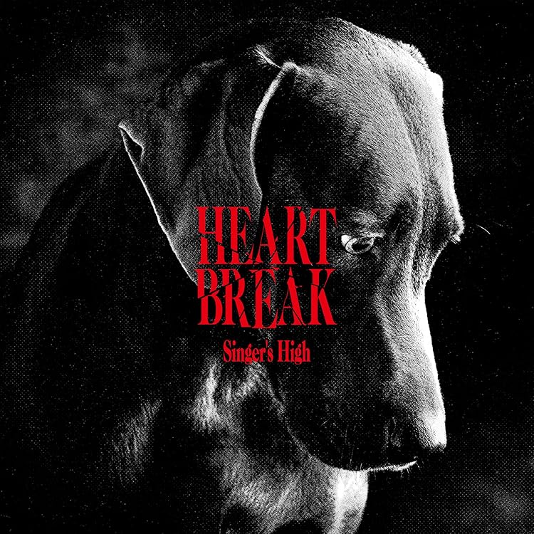 Amazon.co.jp: SINGER'S HIGH: ミュージック